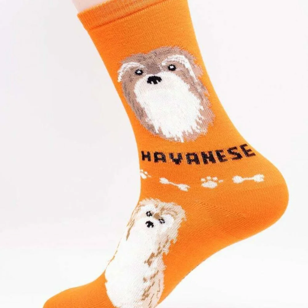 Havanese Cuba Rescue Breeders Cute Soft Furry Puppy 2 Pairs Women's Foozys Socks